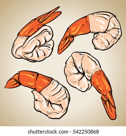 Shrimp cocktail drawing on a vintage background. Hand drawn seafood illustration. Prawn.