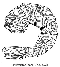 Shrimp Coloring Book Illustration