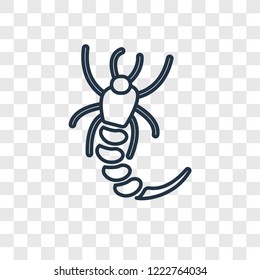 Shrimp concept vector linear icon isolated on transparent background, Shrimp concept transparency concept in outline style