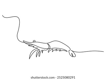 Shrimp continuous one line drawing. Ocean animal food concept. Vector illustration minimalist background.