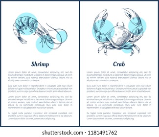 Shrimp and crab crustacean vector illustrations. Decorative icon of ocean animal isolated on white with blue spots restaurant menu vintage template