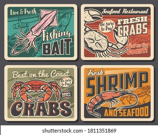 Shrimp, crab and squid vector retro posters, seafood restaurant production, underwater and open ocean crustacean and mollusc animals. Fishing club, fisherman baits. Sport competition outdoor activity