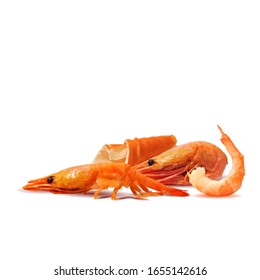 Shrimp and crab sticks low poly. Fresh, nutritious, tasty crab sticks and prawn. Seafood delicacies. Vector illustration. Shrimp and crab sticks in triangulation technique.