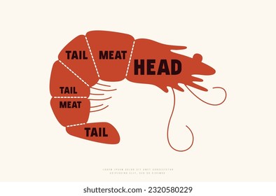 Shrimp cuts diagram in silhouette style. Color print on white background