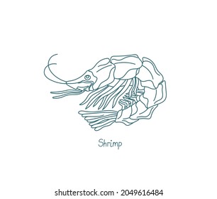 Shrimp are decapod crustaceans. Vector contour. Open paths. Editable stroke. Custom line thickness.