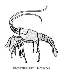 Shrimp, decoration