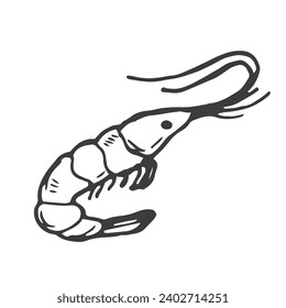 Shrimp doodle symbol. Shrimp logo design. Sea food logo.