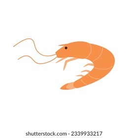 shrimp drawing. flat vector illustration.