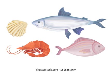 Shrimp and Fish as Seafood and Marine Delicacy Vector Set