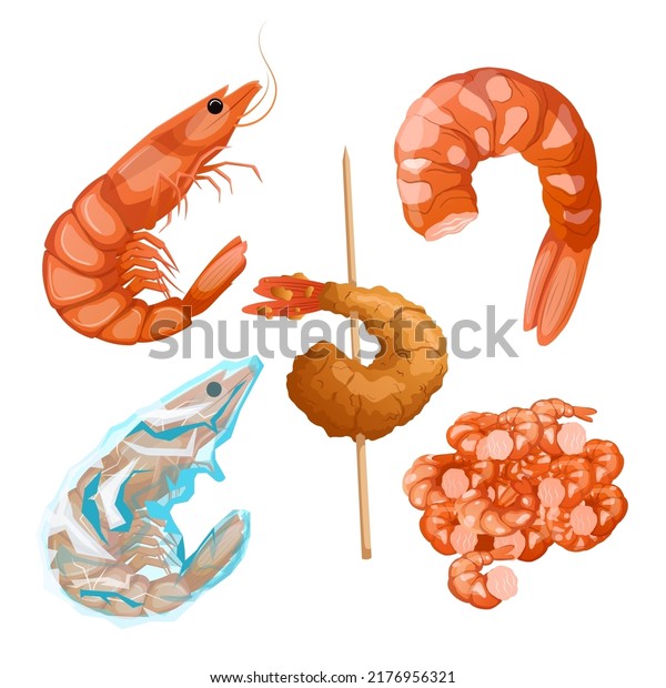 shrimp fish\
seafood set cartoon. pawn, fresh red, cooked food, shelfish pink\
shrimp fish seafood vector\
illustration