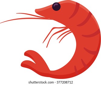 shrimp in flat design