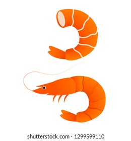 shrimp flat isolated illustration on white background