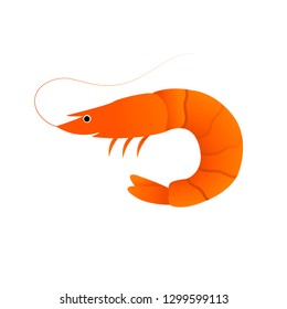 shrimp flat isolated illustration on white background