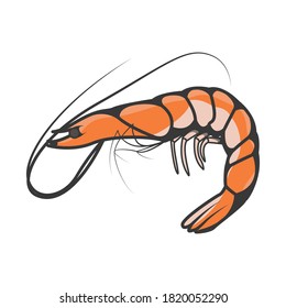 shrimp  in flat style, fresh sea food. Isolated on white background. Vector illustration