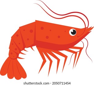 Shrimp flat style isolated on a white background. Cartoon Character. Vector Shrimp