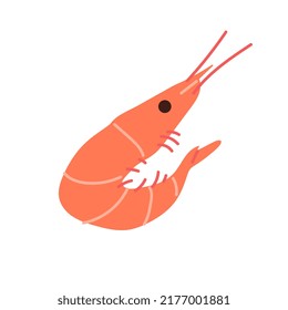 Shrimp flat vector illustration isolated on white background