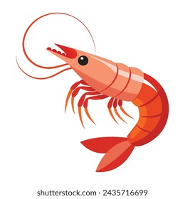 Shrimp flat vector illustration on white background