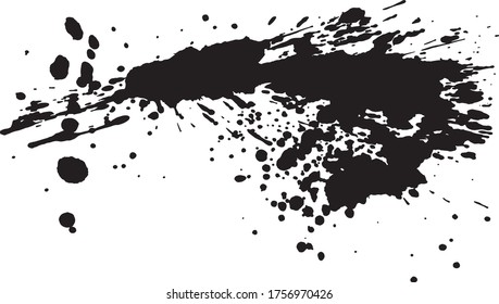 shrimp. fresh fish. brush stroke illustration.