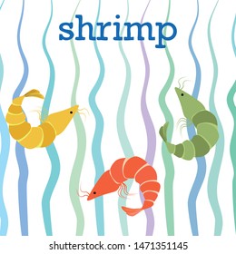 Shrimp fresh seafood. Vector background. Food and restaurant design.