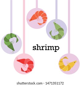 Shrimp fresh seafood. Vector background. Food and restaurant design.