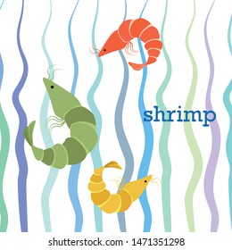 Shrimp fresh seafood. Vector background. Food and restaurant design.
