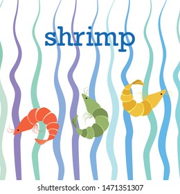 Shrimp fresh seafood. Vector background. Food and restaurant design.