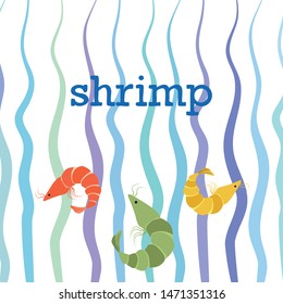 Shrimp fresh seafood. Vector background. Food and restaurant design.