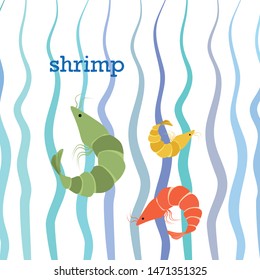 Shrimp fresh seafood. Vector background. Food and restaurant design.