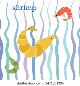 Shrimp fresh seafood. Vector background. Food and restaurant design.