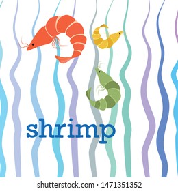Shrimp fresh seafood. Vector background. Food and restaurant design.