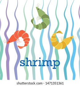 Shrimp fresh seafood. Vector background. Food and restaurant design.