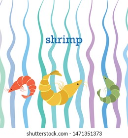 Shrimp fresh seafood. Vector background. Food and restaurant design.