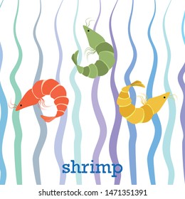 Shrimp fresh seafood. Vector background. Food and restaurant design.