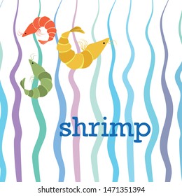 Shrimp fresh seafood. Vector background. Food and restaurant design.