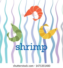 Shrimp fresh seafood. Vector background. Food and restaurant design.