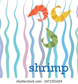 Shrimp fresh seafood. Vector background. Food and restaurant design.