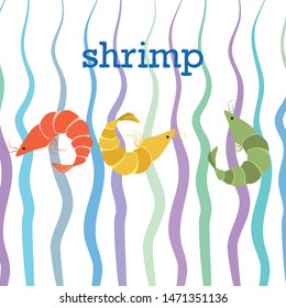 Shrimp fresh seafood. Vector backgroung. Food and restaurant design.