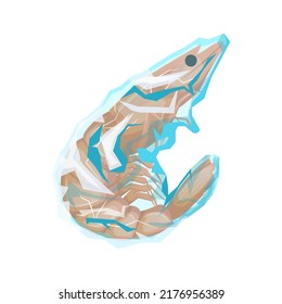 shrimp frozen cartoon. ice seafood, raw food, fresh prawn fish, tail shellfish shrimp frozen vector illustration