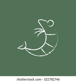 Shrimp hand drawn in chalk on a blackboard vector white icon isolated on a green background.