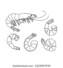 shrimp hand drawn doodle illustrations vector set