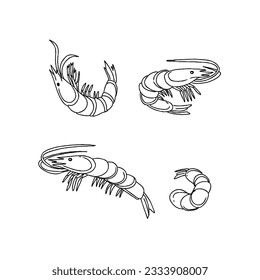 shrimp hand drawn doodle illustrations vector set