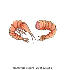 shrimp hand drawn doodle illustrations vector set
