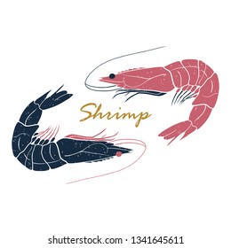 Shrimp hand drawn logo isolated on white background. Vector illustration for print, fish market label, infographics, food packaging or underwater sea animal themes design.