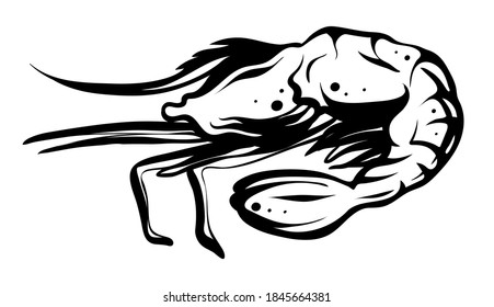 Shrimp, hand drawn vector, logo, icon style
