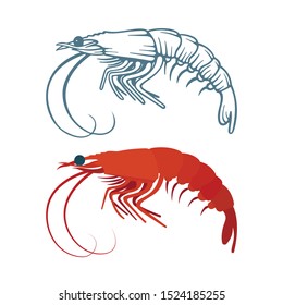 Shrimp. Hand and realistic drawn shrimp vector illustrations set. Part of seafood set. 