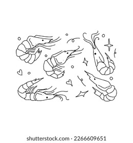 shrimp handrawn doodle illustrations vector