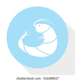 shrimp  icon