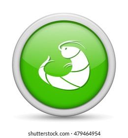 shrimp  icon