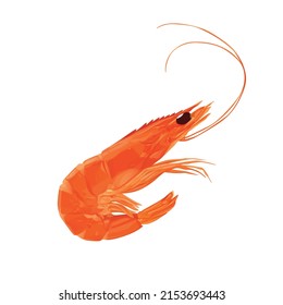 Shrimp Icon. Boiled Prawn In Shell On A White Background. Realistic Vector Illustration