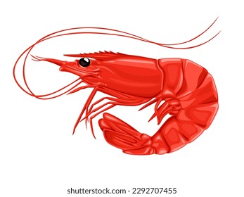 Shrimp icon. Boiled Prawn in shell on a white background. Realistic vector illustration